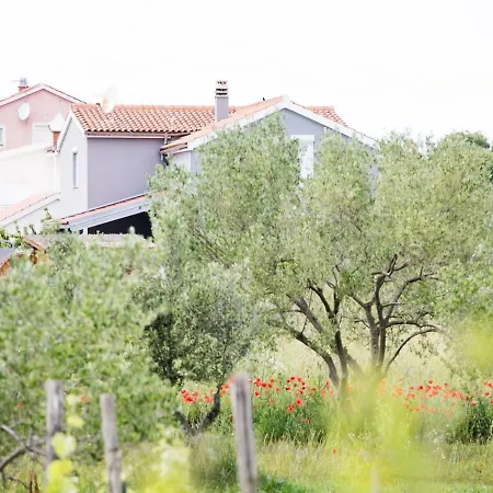 Spacious In With Pool Villa Sukošan